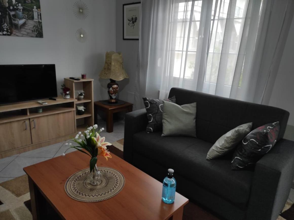 S.T Family Apartement Kalampáka Dış mekan fotoğraf